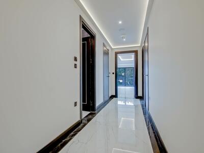 Picture 8